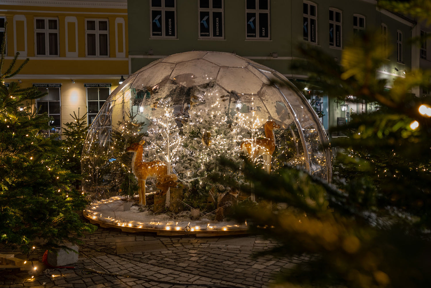 igloos-in-silkeborg